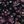 Black Whimsy Paisley