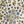 Ivory Autumn Tile