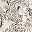 Ivory Mod Paisley