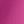 Magenta Daisy