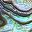 Abalone