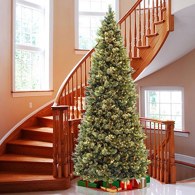 National Tree Company 12 ft. Carolina Pine Slim Tree with Clear Lights