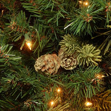National Tree Co. 7 ft. Carolina Pine Slim Artificial Christmas Tree with Clear Lights