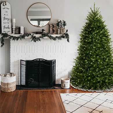 National Tree Company 6.5 ft. Dunhill® Blue Fir Tree with Clear Lights