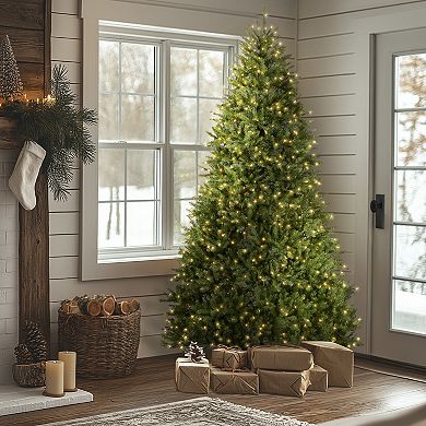 National Tree Co. 9 ft. Dunhill Fir Artificial Christmas Tree with Clear Lights