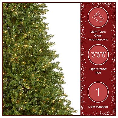 National Tree Co. 9 ft. Dunhill Fir Artificial Christmas Tree with Clear Lights