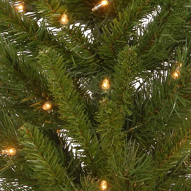 National Christmas Tree 4' Lehigh Valley Pine Entrance Trees Set