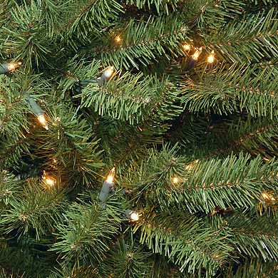 National Tree Company 7' North Valley Spruce Hinged Tree with 700 Clear Lights