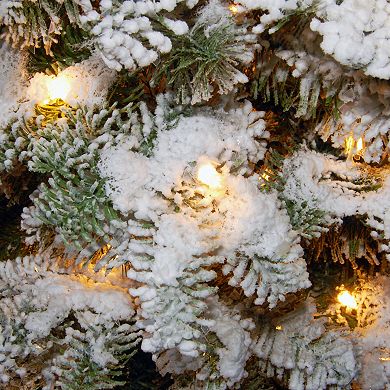 National Tree Co. 4 ft. Snowy Camden Entrance Artificial Christmas Tree with Clear Lights
