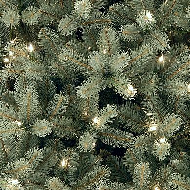 National Tree Company 6.5 ft. Downswept Douglas® Blue Fir Tree with Clear Lights