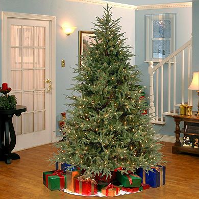 National Tree Company 6.5 ft. Frasier Grande Artificial Christmas Tree with LED Lights