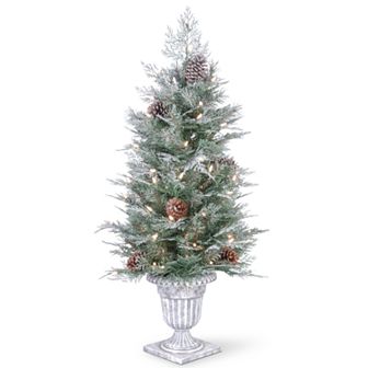 National Tree Co. 4 ft. Frosted Mountain Spruce Entrance Artificial Christmas Tree with Clear Lights