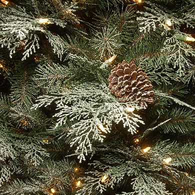 National Tree Company 4 ft. Frosted Mountain Spruce Entrance Tree with Clear Lights