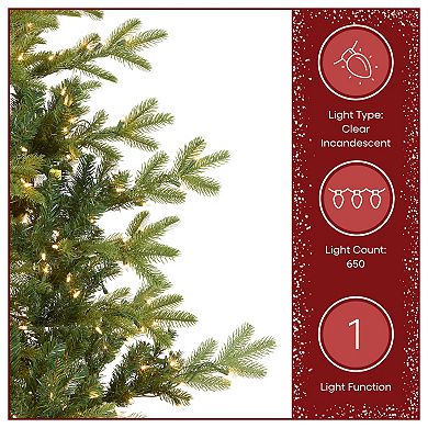 National Tree Company 6.5 ft. Norwegian Spruce Artificial Christmas Tree with Clear Lights