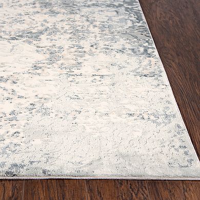 Rizzy Home Chelsea Distressed Scroll Rug