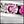 Pink Multi