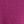 Magenta Daisy