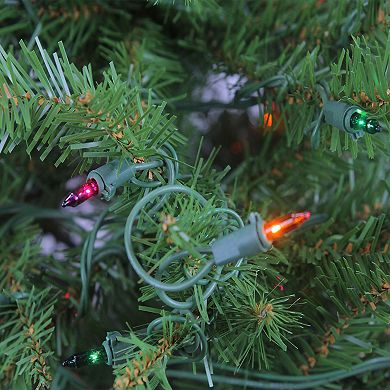 Northlight Seasonal 6.5-ft. Pre-Lit Indoor / Outdoor Northern Pine Artificial Christmas Tree