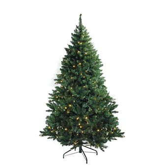 Northlight Seasonal 9.5-ft. LED Buffalo Fir Artificial Christmas Tree