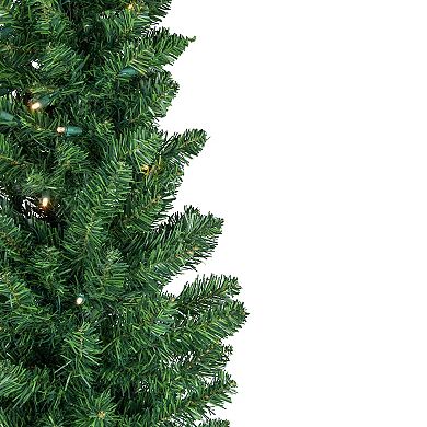 Northlight Seasonal 6-ft. LED Northern Balsam Fir Artificial Christmas Tree