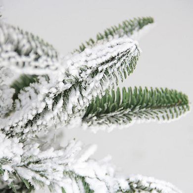 Northlight Seasonal 6.5-ft. Noble Fir Flocked Artificial Christmas Tree