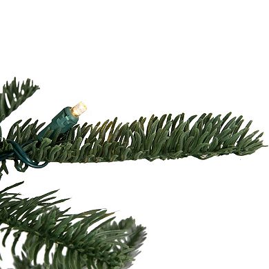 Northlight Seasonal 7.5-ft. LED Noble Fir Artificial Christmas Tree