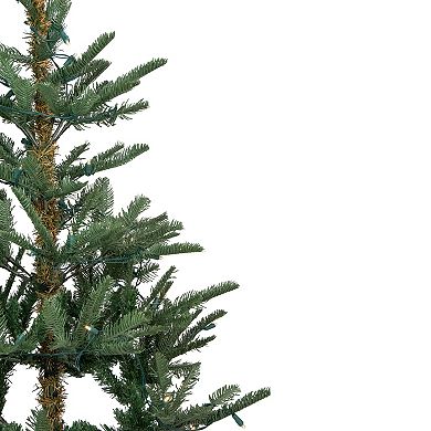 Northlight Seasonal 7.5-ft. LED Noble Fir Artificial Christmas Tree
