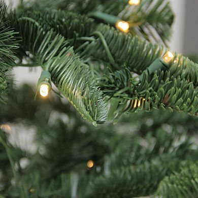 Northlight Seasonal 7.5-ft. LED Noble Fir Artificial Christmas Tree