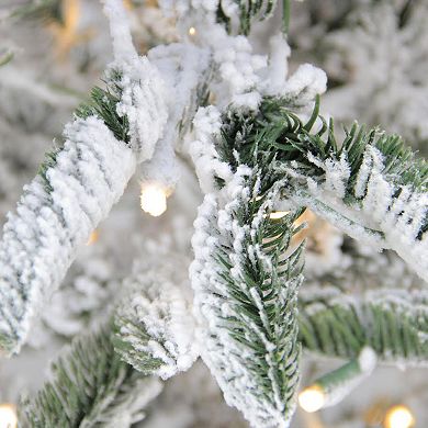 Northlight Seasonal 9-ft. LED Noble Fir Artificial Christmas Tree