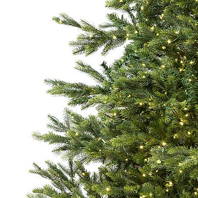Northlight Seasonal 6.5-ft. LED Oregon Noble Fir Artificial Christmas Tree