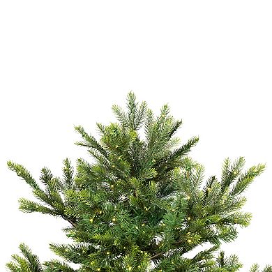 Northlight Seasonal 6.5-ft. LED Oregon Noble Fir Artificial Christmas Tree