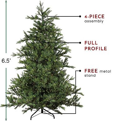 Northlight Seasonal 6.5-ft. LED Oregon Noble Fir Artificial Christmas Tree