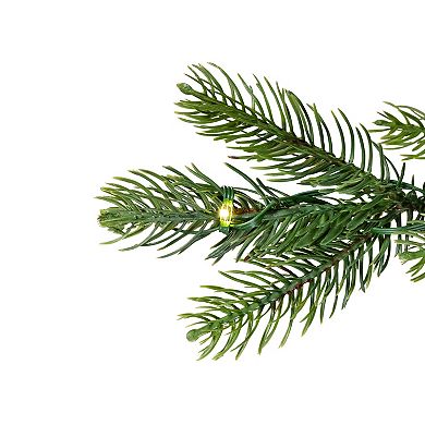 Northlight Seasonal 6.5-ft. LED Oregon Noble Fir Artificial Christmas Tree