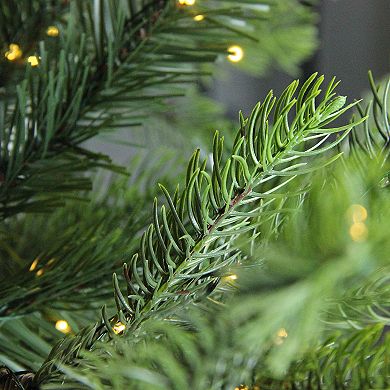 Northlight Seasonal 6.5-ft. LED Oregon Noble Fir Artificial Christmas Tree