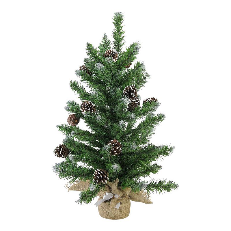 Northlight Seasonal 24-in. Frosted Norway Pine Artificial Christmas Tree, B