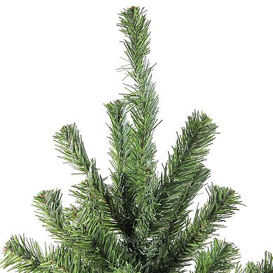 Northlight Seasonal 4-ft. Canadian Pine Artificial Christmas Tree