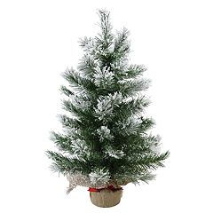 Northlight 2' Pre-Lit Woodbury White Pine Slim Artificial Christmas Tree  Pink Lights