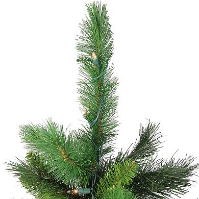 Northlight Seasonal 36-in. Pre-Lit New Carolina Spruce Artificial Christmas Tree