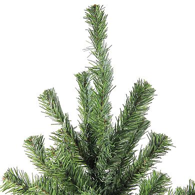 Northlight Seasonal 5-ft. Canadian Pine Artificial Christmas Tree 