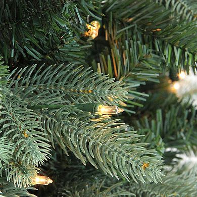 Northlight Seasonal 4.7-ft. Pre-Lit Slim Carolina Frasier Fir Artificial Christmas Tree