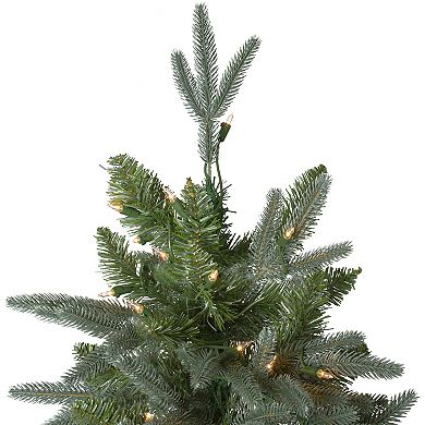 Northlight Seasonal 6.5-ft. Pre-Lit Washington Frasier Fir Artificial Christmas Tree