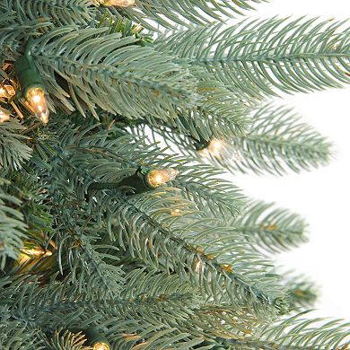 Northlight Seasonal 6.5-ft. Pre-Lit Washington Frasier Fir Artificial Christmas Tree