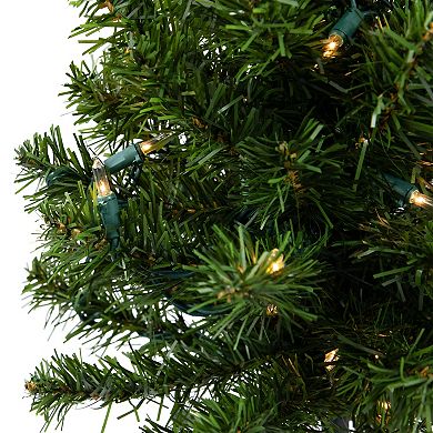 Northlight Seasonal 18-in. Pre-Lit Canadian Pine Artificial Christmas Tree