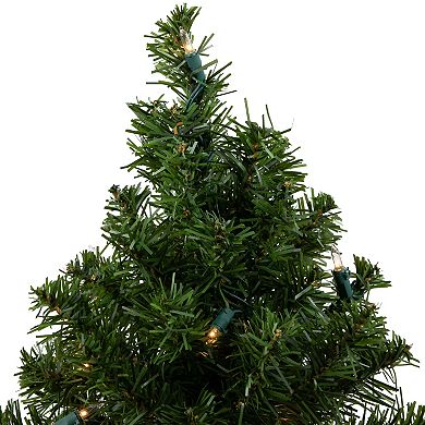 Northlight Seasonal 18-in. Pre-Lit Canadian Pine Artificial Christmas Tree