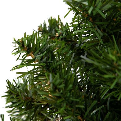 Northlight Seasonal 18-in. Pre-Lit Canadian Pine Artificial Christmas Tree