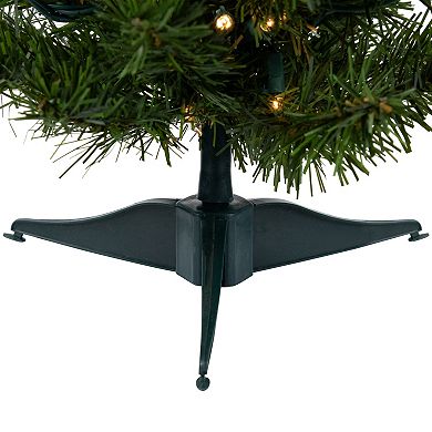Northlight Seasonal 18-in. Pre-Lit Canadian Pine Artificial Christmas Tree