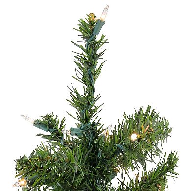 Northlight Seasonal 18-in. Pre-Lit Canadian Pine Artificial Christmas Tree