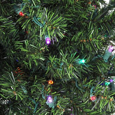 Northlight Seasonal 18-in. Pre-Lit LED Canadian Pine Artificial Christmas Tree