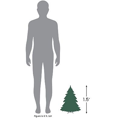 Northlight Seasonal 18-in. Pre-Lit LED Canadian Pine Artificial Christmas Tree
