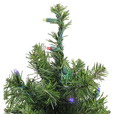 Northlight Seasonal 18-in. Pre-Lit LED Canadian Pine Artificial Christmas Tree